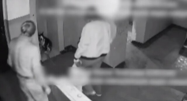 Мужчина несколько раз ударил щенка и теперь он предстанет перед судом