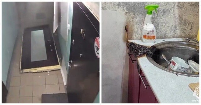 В Новосибирске собака устроила взрыв в квартире