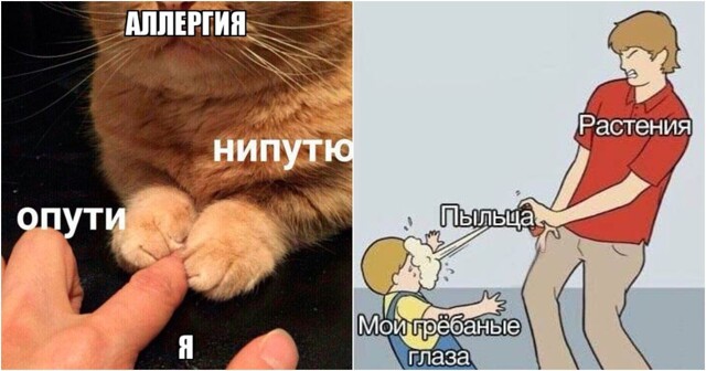 Россия создала первую в мире вакцину, которая эффективно убирает аллергию на берёзу