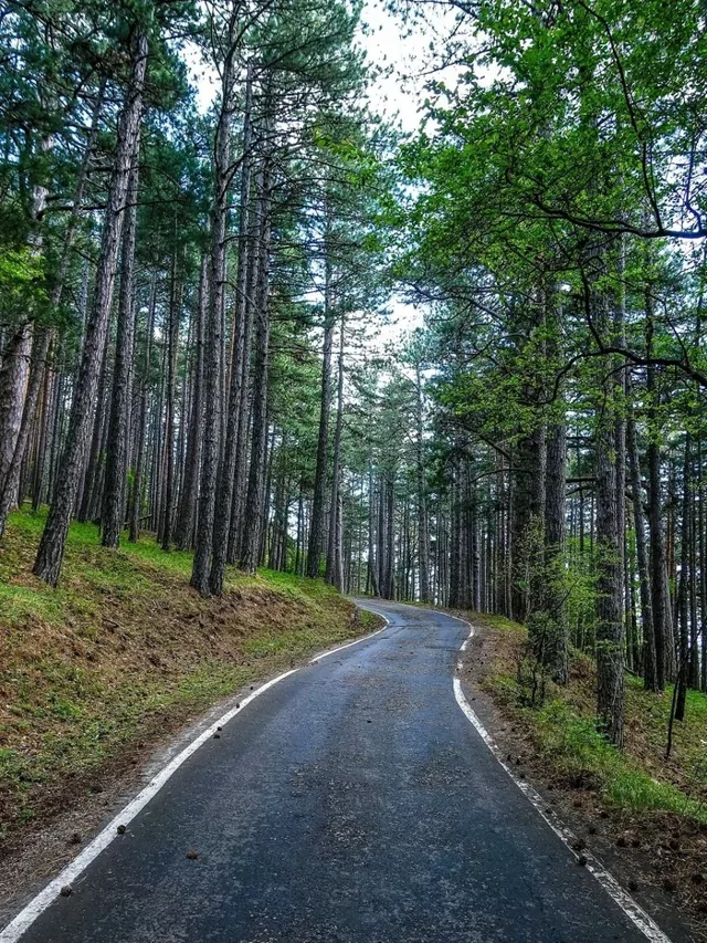 Самые красивые дороги Крыма