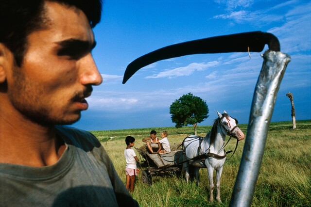 Почему у цыган нет своего государства?