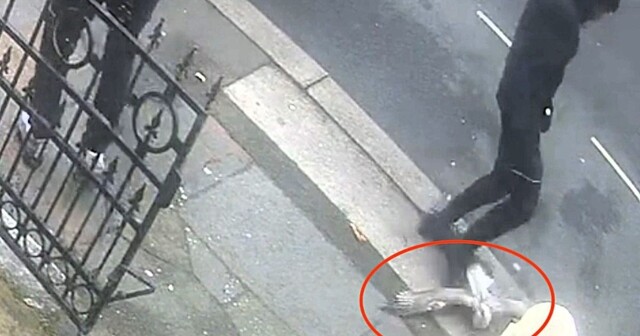 Британец затоптал чайку и попал в тюрьму