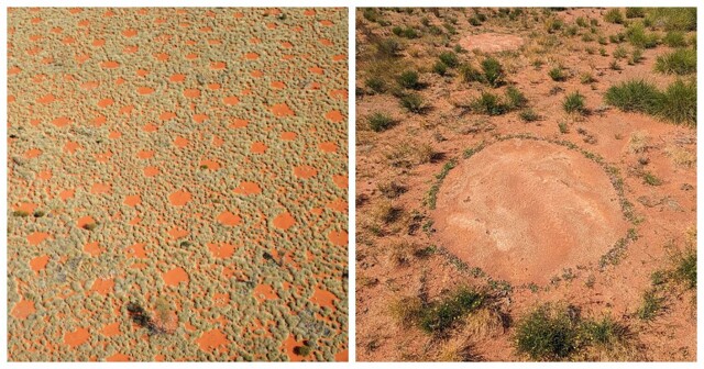 Мистические африканские круги фей и неоднозначная научная разгадка их появления