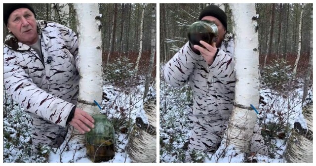Мужчина оставил банку для берёзового сока и был удивлён результатом