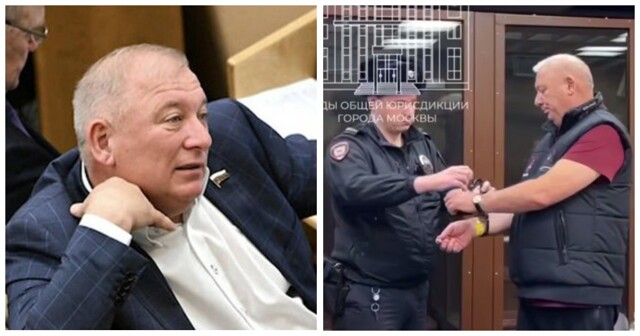Бывшего депутата Госдумы Вороновского отправили в СИЗО