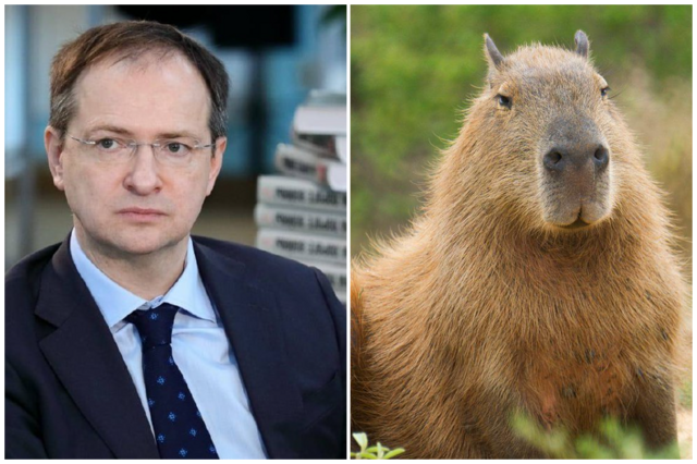 Помощник президента Мединский признался, что долго считал капибару выдуманным животным