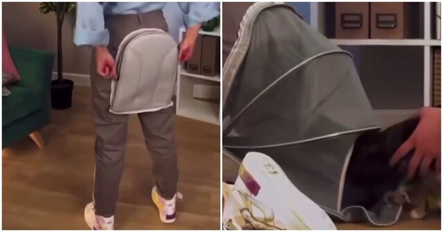 Необычная переноска для домашних животных