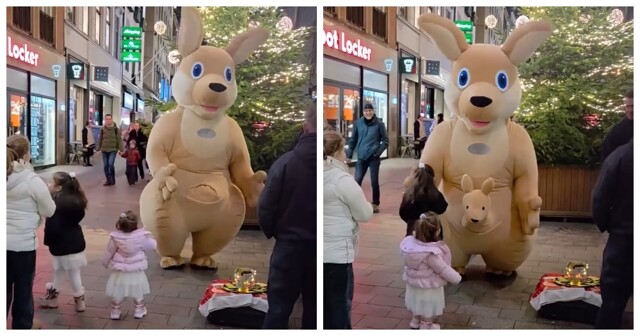 Двусмысленная деталь в костюме кенгуру