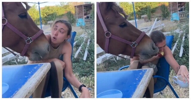 Как девушка и лошадь делили яблоко