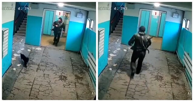 «Даже страшно представить, что он дома творит»: мужчина избил свою таксу в подъезде