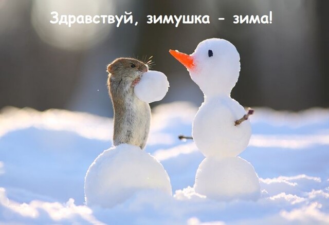 Весёлые картинки