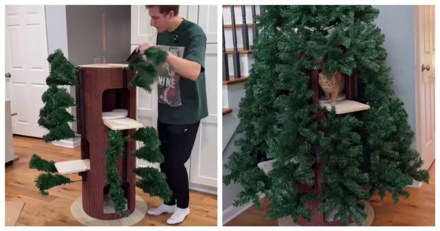 Новогодняя елка для котов