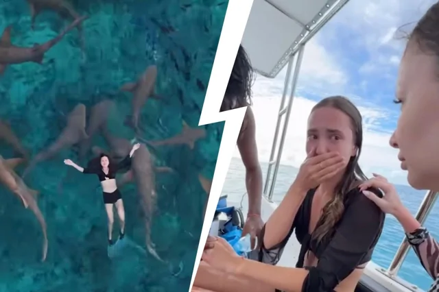 На Мальдивах акула чуть не откусила пальцы девушке