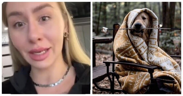 Собака запуталась в пледе: паника хозяйки из-за "маленькой" проблемы