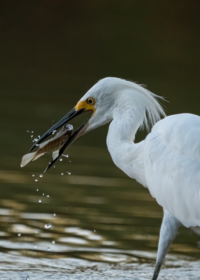 На общую тему 