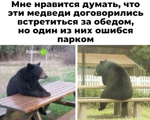 Скрины из соцсетей