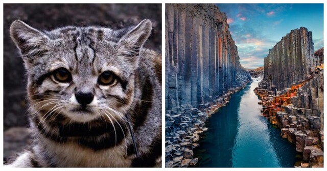 20 природных диковин, от которых перехватывает дыхание