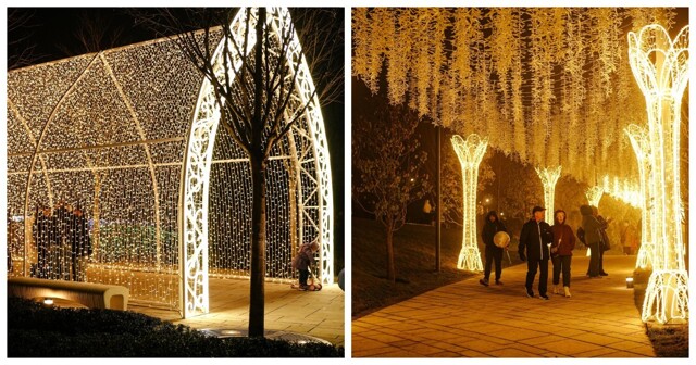Световой тоннель и бриллиантовая подсветка: парк в Краснодаре засиял тысячами новогодних огней