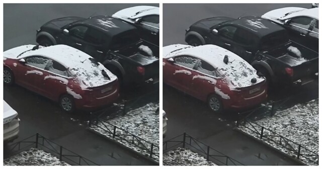 В Питере вороны устроили горки на заснеженной машине
