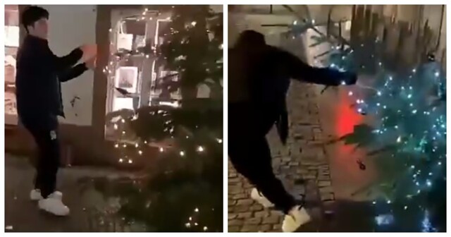 В Германии приезжий повалил новогоднюю ёлку и сорвал украшения