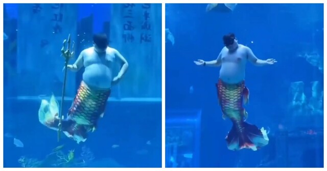 В китайском океанариуме показали будни «русала» с юмором