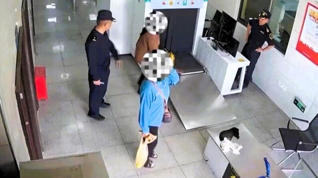 В Китае женщина пыталась провезти 1 кг живых бамбуковых червей