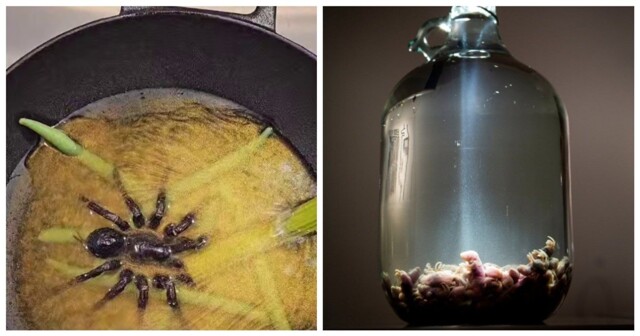 Музей отвратительной еды