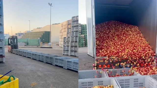 Простой и эффективный метод разгрузки яблок