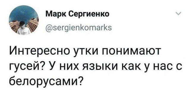 Как будет ковер по-белорусски