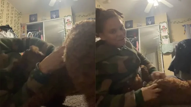 Игры со щенком пошли не по плану