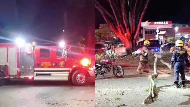 Простой спил дерева обернулся синяками для пожарного