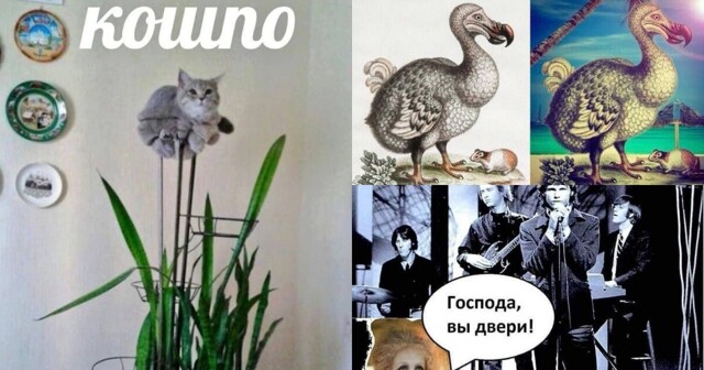Баран кигну и бульб-терьер: новые каламбуры и лингвошутки