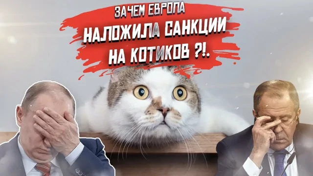 В Евросоюзе ввели санкции против российских кошек