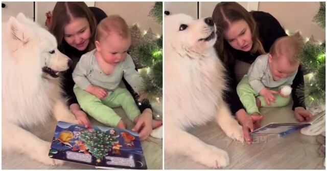 Пёс "озвучивает" вьюгу