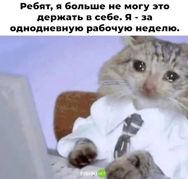 Не ищите здесь смысл. Здесь в основном маразм