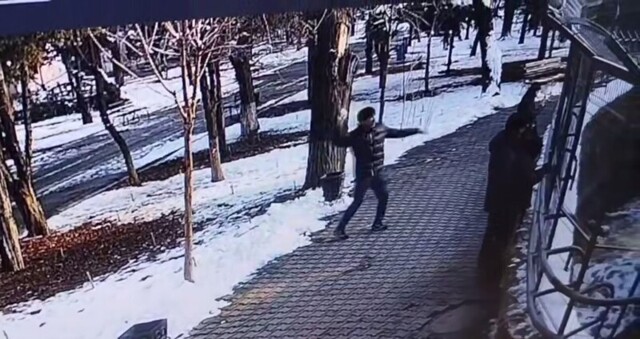 Посетитель зоопарка кидал в тигров снежками, стараясь их "расшевелить"
