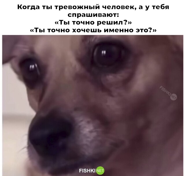 Смешные картинки