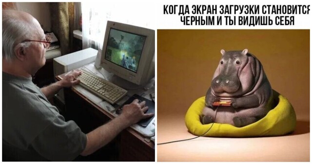 Мозг мужчин стареет быстрее женского: норвежские ученые выяснили, как этого можно избежать