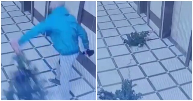 Мужчина сломал новогоднюю елку, стоявшую в подъезде