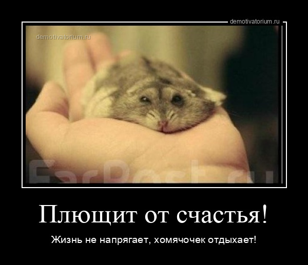 Свежие и прикольные демотиваторы