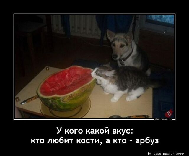 Свежие и прикольные демотиваторы