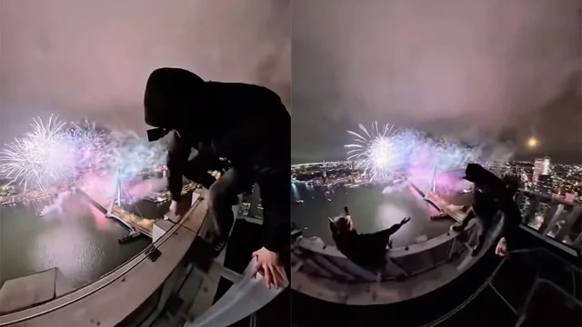 На крыше в Роттердаме сняли самый высокий вид на фейерверк