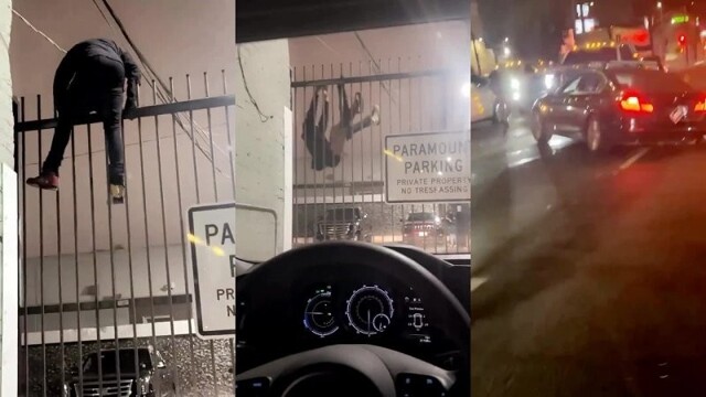 Попытка побега закончилась курьезом