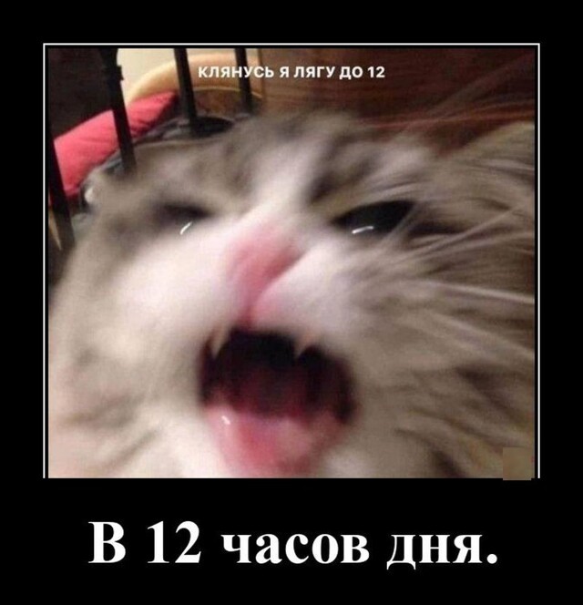 Забавные демотиваторы