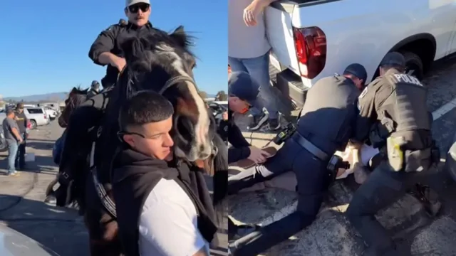 Недоразумение на улице: мужчину задержали за «толчок» полицейской лошади