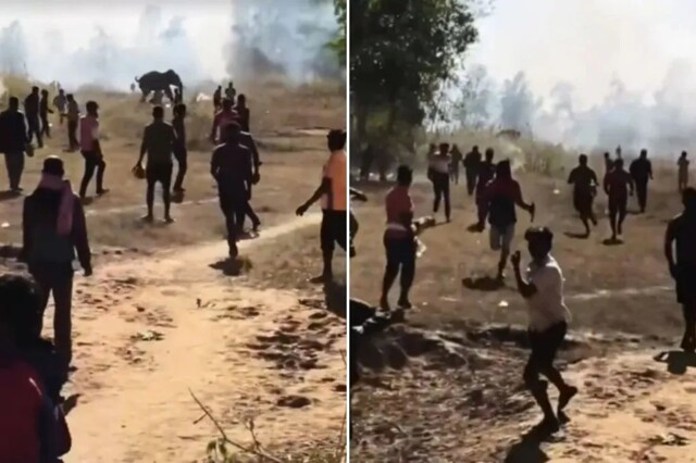 В Индии слон за 10 дней убил более двух десятков человек