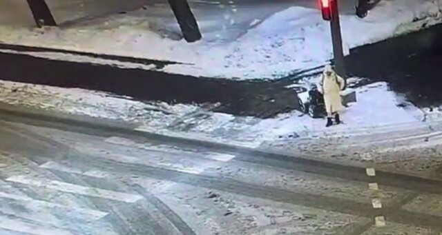 Москвичка украла снегоуборочную машину