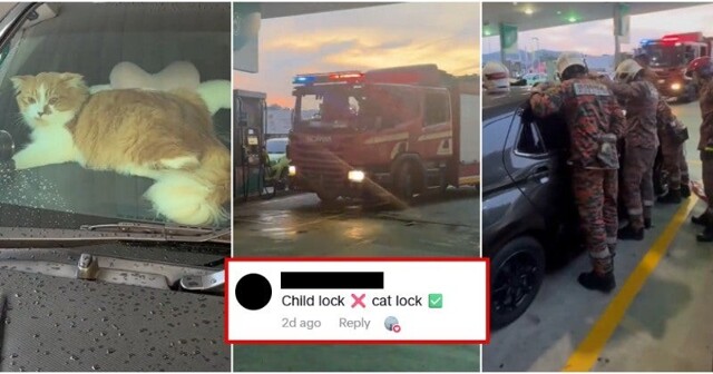 Хозяйке пришлось вызывать пожарных из-за кошки, случайно запершейся в машине