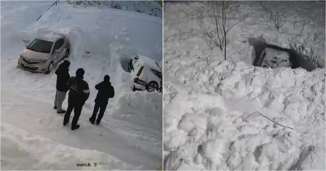 День сурка на Камчатке