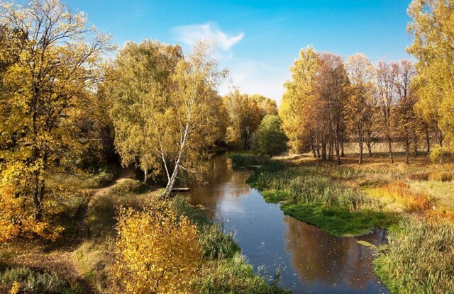 Золотая осень